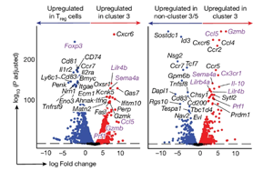 Nature：免疫系統(tǒng)在對抗癌癥的過程中最大的敵人居然是自己！