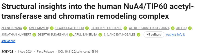人類NuA4/TIP60乙酰轉(zhuǎn)移酶和染色質(zhì)重塑復(fù)合物的結(jié)構(gòu)見(jiàn)解