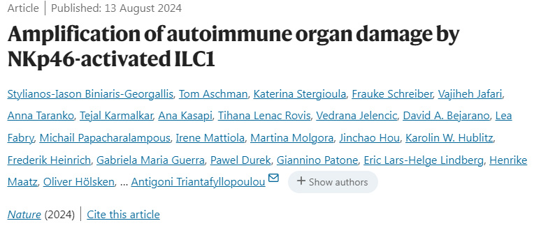 CNKp46激活的ILC1放大自身免疫器官損傷