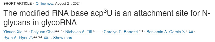 修飾的RNA堿基acp3U是糖RNA中N-聚糖的附著位點(diǎn) 修飾的RNA堿基acp3U是糖RNA中N-聚糖的附著位點(diǎn)