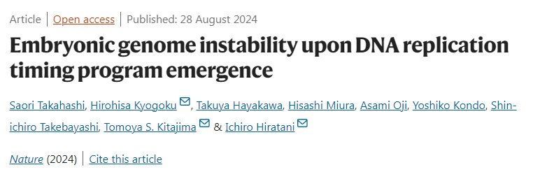DNA復(fù)制定時程序出現(xiàn)時胚胎基因組的不穩(wěn)定性