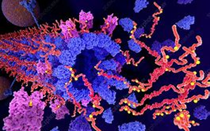 Tau不僅是“壞人”，它還扮演著“好人”的角色，保護我們的大腦