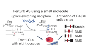 Nature Genetics：驚奇地發(fā)現(xiàn)選擇性剪接比蛋白質(zhì)多樣性更能影響基因表達？