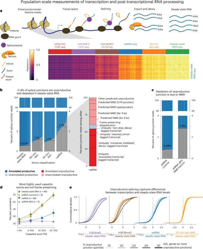 在轉(zhuǎn)錄之前、期間和之后捕獲的基因組數(shù)據(jù)揭示了NMD亞型的豐富性