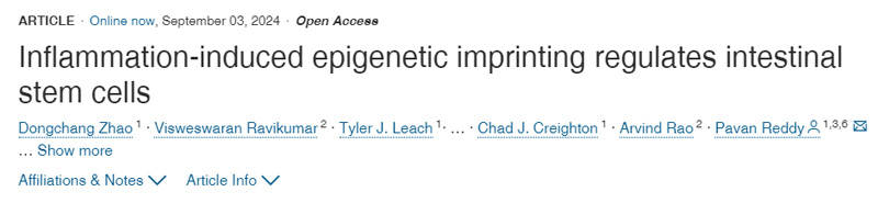 炎癥誘導(dǎo)的表觀遺傳印記調(diào)節(jié)腸干細胞 炎癥誘導(dǎo)的表觀遺傳印記調(diào)節(jié)腸干細胞