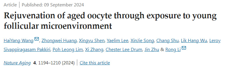 通過暴露于年輕卵泡微環(huán)境使老年卵母細(xì)胞再生
通過暴露于年輕卵泡微環(huán)境使老年卵母細(xì)胞再生