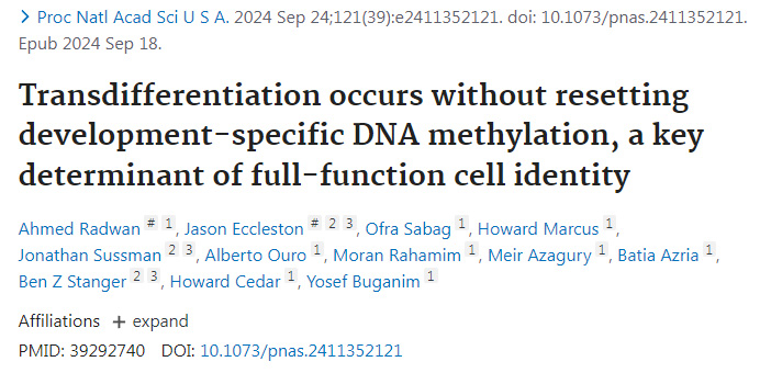 
轉(zhuǎn)分化發(fā)生時(shí)不會(huì)重置發(fā)育特異性DNA甲基化是全功能細(xì)胞身份的關(guān)鍵決定因素