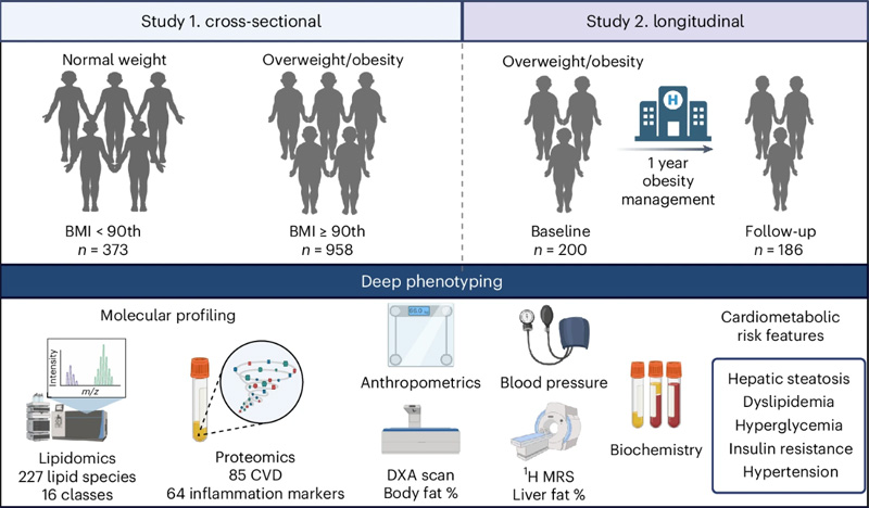 方案研究設(shè)計 方案研究設(shè)計