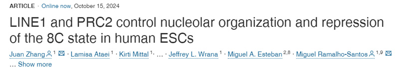 
LINE1和PRC2控制人類胚胎干細胞核仁組織和8C狀態(tài)的抑制