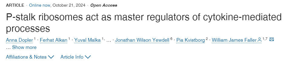 P-莖區(qū)核糖體是細(xì)胞因子介導(dǎo)過(guò)程的主要調(diào)節(jié)因子
P-莖區(qū)核糖體是細(xì)胞因子介導(dǎo)過(guò)程的主要調(diào)節(jié)因子