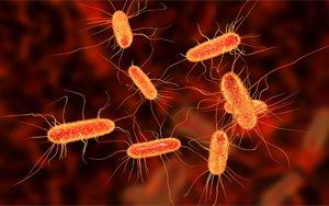 《Nature》腸道中的某些大腸桿菌如何促進結(jié)腸癌？