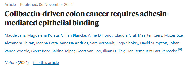 大腸桿菌素驅(qū)動的癌癥需要粘附素介導(dǎo)的上皮結(jié)合