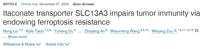 衣康酸轉運蛋白SLC13A3通過賦予抗鐵下垂能力損害腫瘤免疫力 衣康酸轉運蛋白SLC13A3通過賦予抗鐵下垂能力損害腫瘤免疫力
