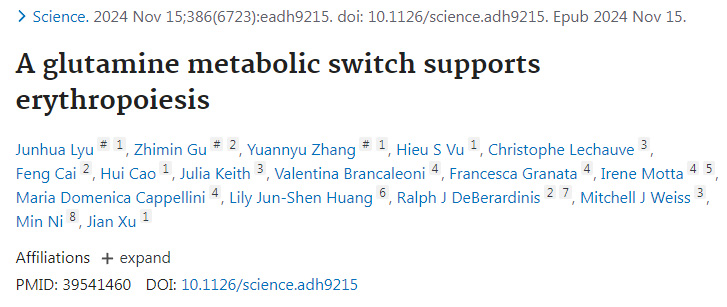 谷氨酰胺代謝開(kāi)關(guān)支持紅細(xì)胞生成 谷氨酰胺代謝開(kāi)關(guān)支持紅細(xì)胞生成