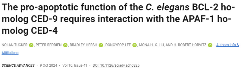 秀麗隱桿線蟲BCL-2同源物CED-9的促凋亡功能需要與APAF-1同源物CED-CED-4相互作用