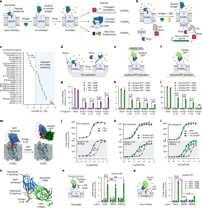 PAGER的設(shè)計與優(yōu)化 PAGER的設(shè)計與優(yōu)化