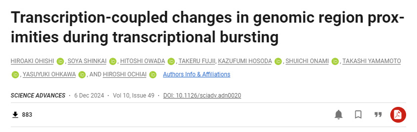 轉(zhuǎn)錄爆發(fā)過(guò)程中基因組區(qū)域鄰近性的轉(zhuǎn)錄偶聯(lián)變化