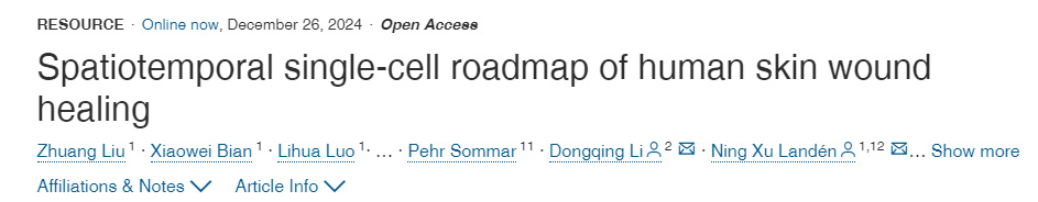 人體皮膚傷口愈合的時(shí)空單細(xì)胞路線圖