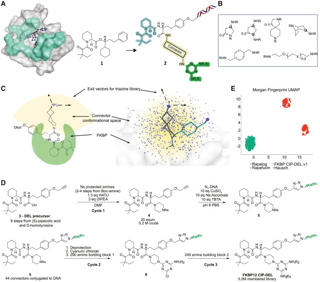 文庫設(shè)計與合成