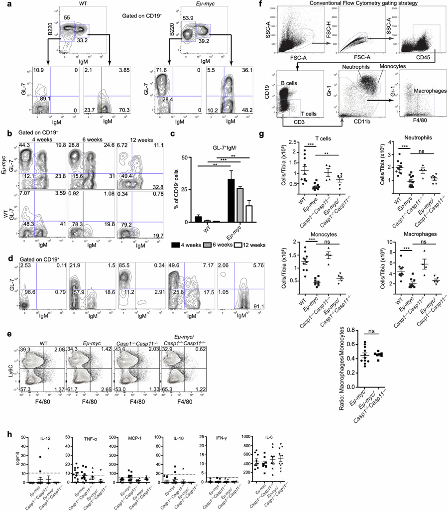 GL-7和IgM表達(dá)的分析有助于描述循環(huán)中癌前和惡性Eμ-myc B細(xì)胞的特征