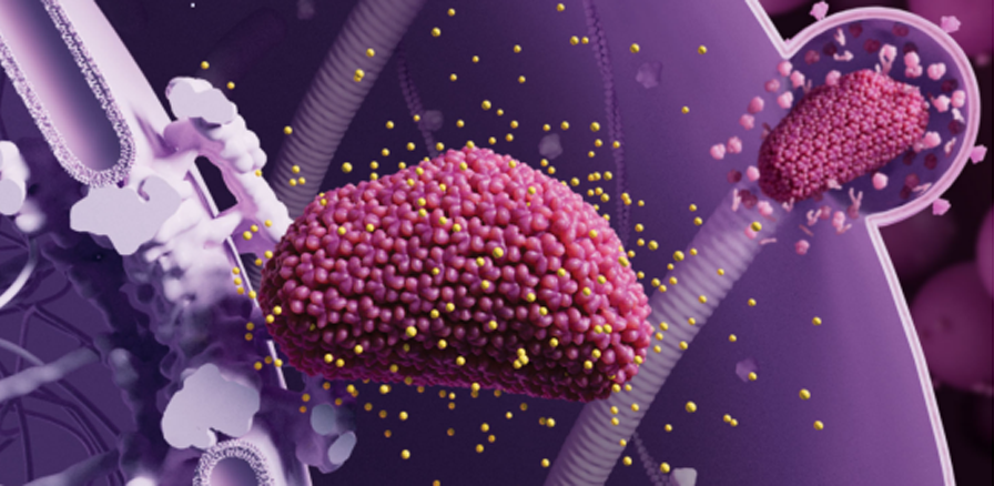 艾滋病防治 艾滋病防治