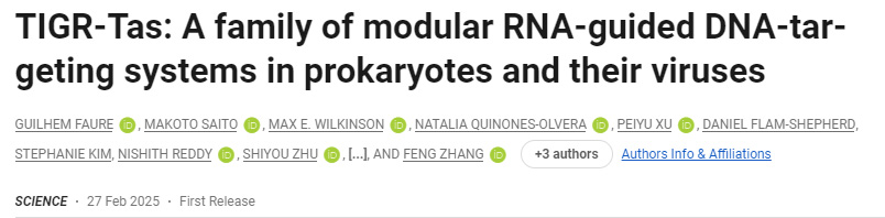 TIGR-Tas：原核生物及其病毒中的模塊化RNA引導DNA靶向系統(tǒng)家族