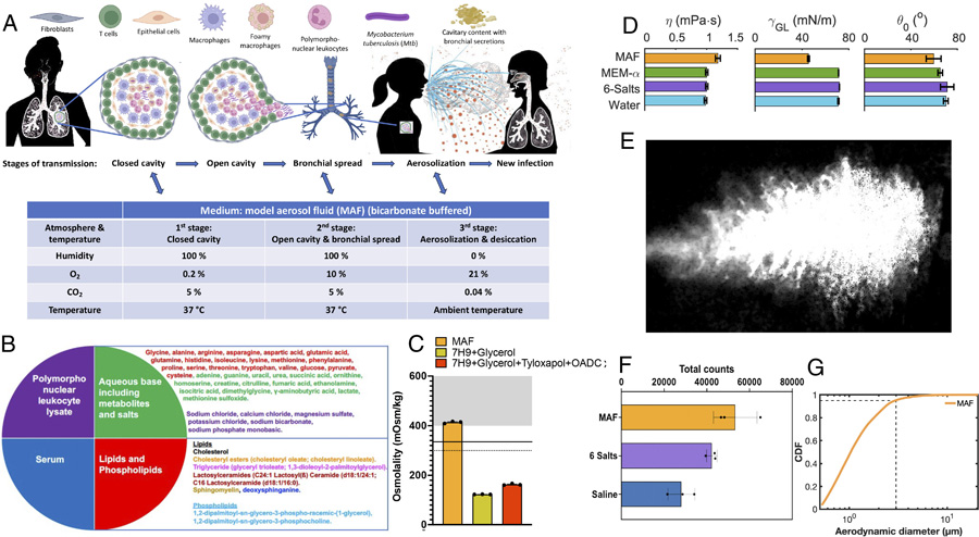 流體和大氣模擬傳輸?shù)娜齻€階段