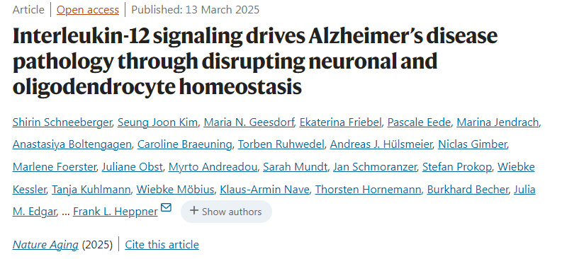 白細(xì)胞介素-12信號通路通過破壞神經(jīng)元與少突膠質(zhì)細(xì)胞穩(wěn)態(tài)驅(qū)動阿爾茨海默病病理進(jìn)程