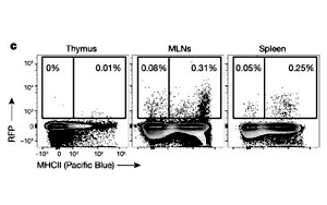Nature：T細胞也需要“早教”，只要細菌教得好，機體免疫差不了！