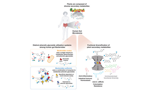 Cell：將飲食和腸道微生物結(jié)合起來預(yù)防胃腸道疾病