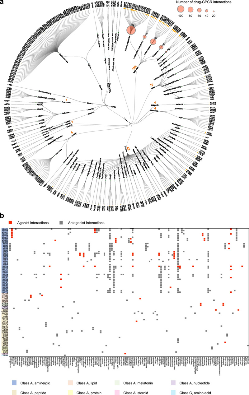 GPCR藥物活動(dòng)圖 GPCR藥物活動(dòng)圖