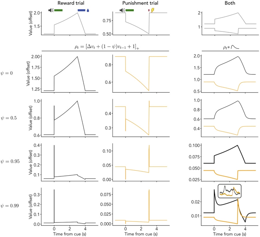 價(jià)值前瞻性編碼的簡(jiǎn)化模型解釋血清素神經(jīng)元對(duì)短期獎(jiǎng)賞與懲罰的響應(yīng)機(jī)制 價(jià)值前瞻性編碼的簡(jiǎn)化模型解釋血清素神經(jīng)元對(duì)短期獎(jiǎng)賞與懲罰的響應(yīng)機(jī)制
