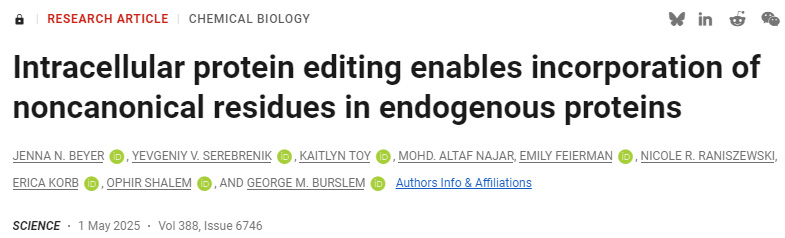  細胞內(nèi)蛋白質(zhì)編輯能夠在內(nèi)源性蛋白質(zhì)中引入非經(jīng)典氨基酸殘基