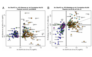 Nature Aging：中年人如何患上癡呆癥？可能與這些蛋白質有關