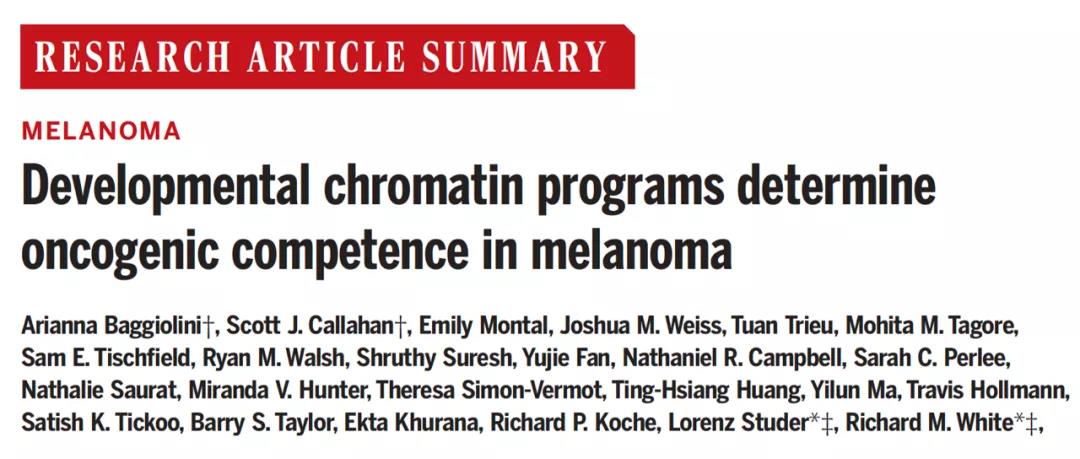 改寫教科書！Science揭示：為什么你體內(nèi)的癌細(xì)胞沒發(fā)展成癌癥？
