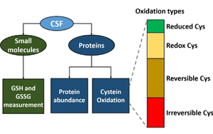 腦脊液中谷胱甘肽氧化作為肌萎縮側(cè)索硬化癥氧化應(yīng)激的生物標(biāo)志物研究