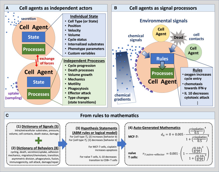 人類可讀語(yǔ)法編碼實(shí)現(xiàn)多細(xì)胞系統(tǒng)生物學(xué)模型以普及虛擬細(xì)胞實(shí)驗(yàn)室