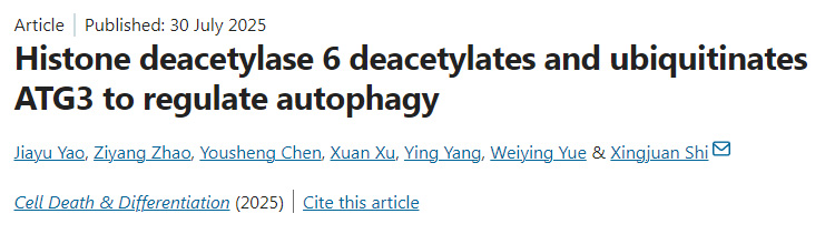 組蛋白去乙?；?通過去乙?；头核鼗揎桝TG3以調(diào)節(jié)自噬作用