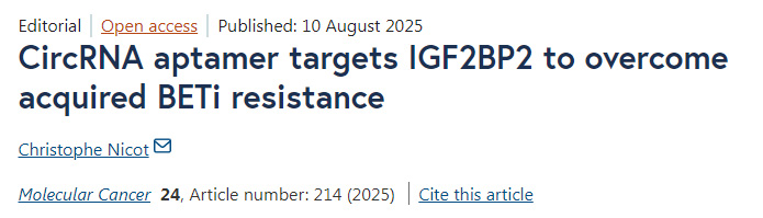 環(huán)狀RNA適配體靶向IGF2BP2以克服獲得性BETi耐藥性 環(huán)狀RNA適配體靶向IGF2BP2以克服獲得性BETi耐藥性