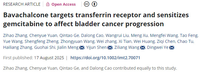 補(bǔ)骨脂查爾酮靶向轉(zhuǎn)鐵蛋白受體并增敏吉西他濱以調(diào)控膀胱癌進(jìn)展 補(bǔ)骨脂查爾酮靶向轉(zhuǎn)鐵蛋白受體并增敏吉西他濱以調(diào)控膀胱癌進(jìn)展