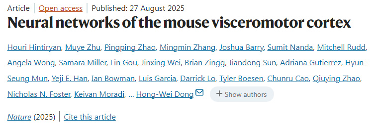 小鼠內(nèi)臟運(yùn)動皮層的神經(jīng)網(wǎng)絡(luò) 小鼠內(nèi)臟運(yùn)動皮層的神經(jīng)網(wǎng)絡(luò)