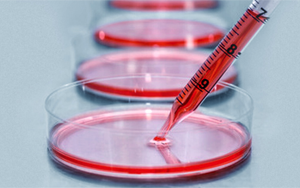 細胞培養(yǎng)基，撐起生物醫(yī)藥的半壁江山