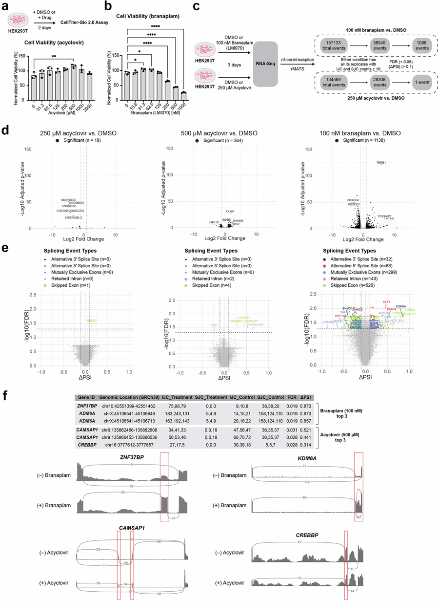 阿昔洛韋處理對細胞活力、基因表達及選擇性剪接的影響