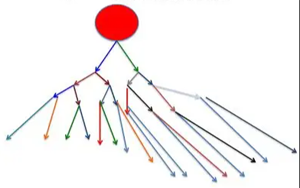 譜系限制性干細胞對人類造血的穩(wěn)定克隆貢獻揭示造血干細胞命運決定新機制