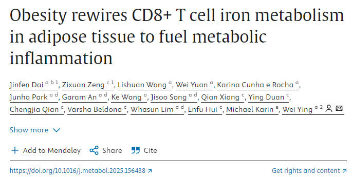 肥胖重塑脂肪組織中CD8+ T細(xì)胞的鐵代謝以加劇代謝性炎癥 肥胖重塑脂肪組織中CD8+ T細(xì)胞的鐵代謝以加劇代謝性炎癥