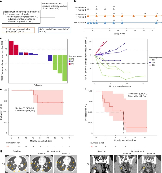 FLC疫苗聯(lián)合伊匹木單抗與納武利尤單抗治療FLC患者的臨床療效 FLC疫苗聯(lián)合伊匹木單抗與納武利尤單抗治療FLC患者的臨床療效