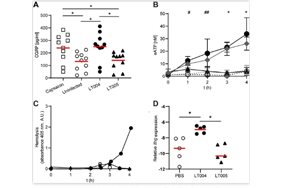 研究揭示：神經(jīng)系統(tǒng)或可替代抗生素抑制細(xì)菌感染