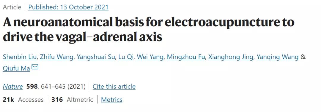 Nature：針灸不再是“玄學(xué)”！中美科學(xué)家證明針灸的神經(jīng)解剖學(xué)原理