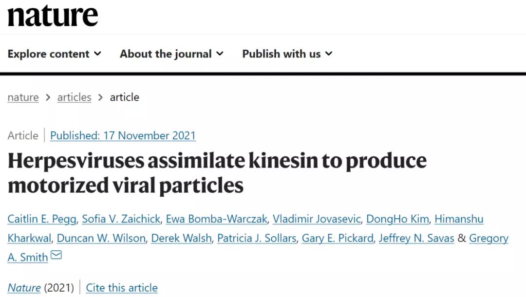 《Nature》：皰疹病毒看似“低調(diào)的青銅” ，實則“神秘的強者”