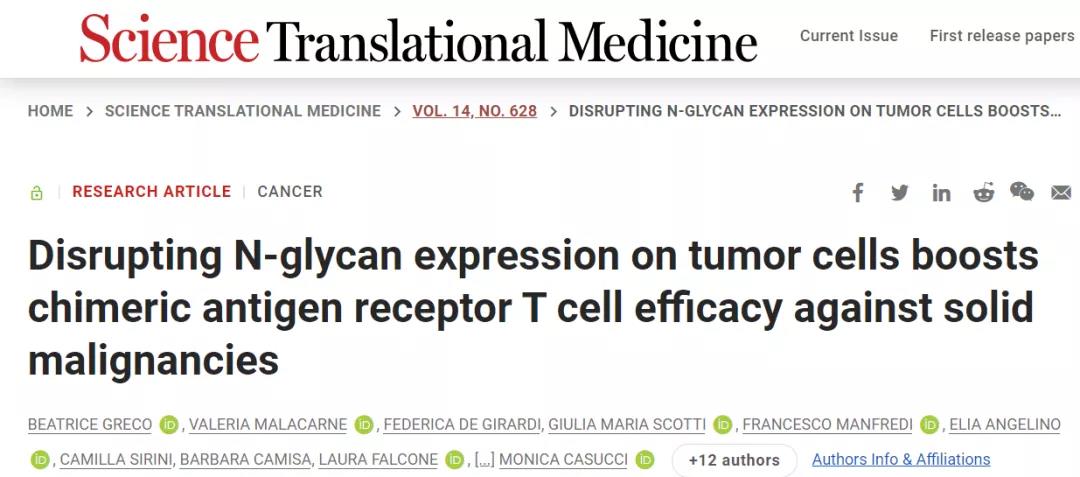 摘去腫瘤細(xì)胞的“糖衣”，CAR-T即成為“炮彈”！